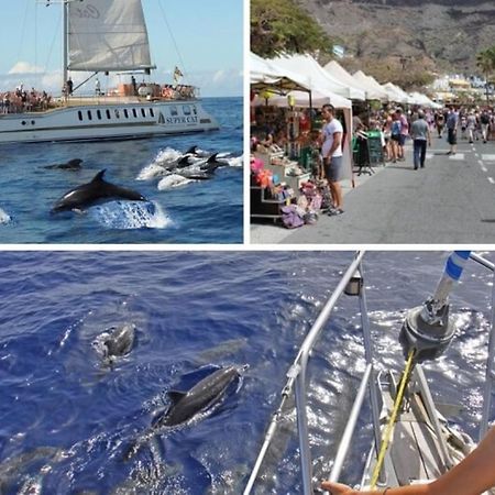 Harbour 332 In Puerto De Mogan Lejlighed Eksteriør billede